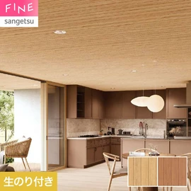 神島化学工業の軒天『アルテザート』と色を合わせたデザイン。軒天と天井のシームレスな提案におすすめです
