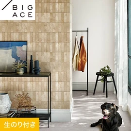 シンコールの住宅向け壁紙シリーズ「BIGACE」のDIYにおすすめののり付き壁紙