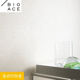 シンコールの住宅向け壁紙シリーズ「BIGACE」のDIYにおすすめののり付き壁紙