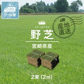 【クール便】芝生 天然芝 野芝 宮崎県産 2束(2平米)入 ソッド