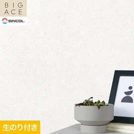シンコールの住宅向け壁紙シリーズ「BIGACE」のDIYにおすすめののり付き壁紙