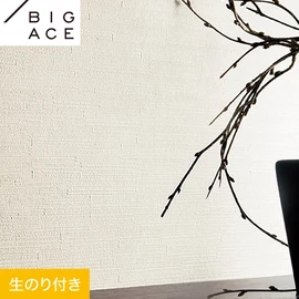 シンコールの住宅向け壁紙シリーズ「BIGACE」のDIYにおすすめののり付き壁紙