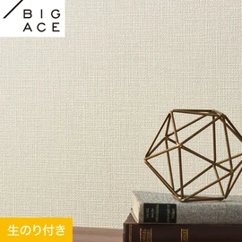 シンコールの住宅向け壁紙シリーズ「BIGACE」のDIYにおすすめののり付き壁紙