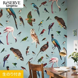 国立科学博物館とコラボしたパターンシリーズ。国立科学博物館に展示されている剥製を使ったカラフルな鳥の柄です