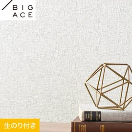 シンコールの住宅向け壁紙シリーズ「BIGACE」のDIYにおすすめののり付き壁紙