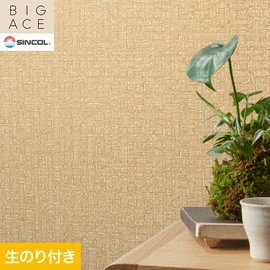 シンコールの住宅向け壁紙シリーズ「BIGACE」のDIYにおすすめののり付き壁紙