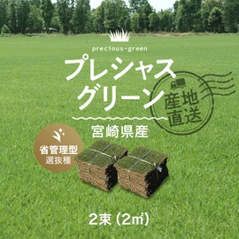 高麗芝を改良して作られた選抜種です。より美しく省管理で維持できる芝生を作りたい方におすすめです