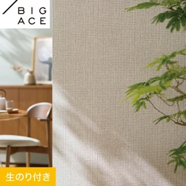 シンコールの住宅向け壁紙シリーズ「BIGACE」のDIYにおすすめののり付き壁紙