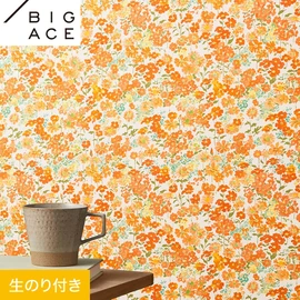 シンコールの住宅向け壁紙シリーズ「BIGACE」のDIYにおすすめののり付き壁紙
