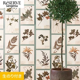 国立科学博物館とコラボしたパターンシリーズ。数ある押し葉の標本を抜粋し忠実に再現しました