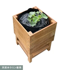超耐久性を持つウリンのプランター