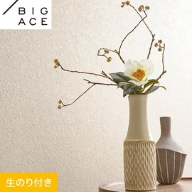 シンコールの住宅向け壁紙シリーズ「BIGACE」のDIYにおすすめののり付き壁紙