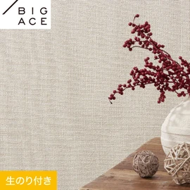 シンコールの住宅向け壁紙シリーズ「BIGACE」のDIYにおすすめののり付き壁紙