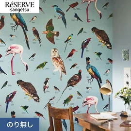 国立科学博物館とコラボしたパターンシリーズ。国立科学博物館に展示されている剥製を使ったカラフルな鳥の柄です