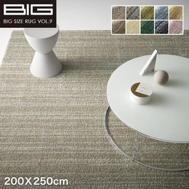 【防音】スミノエ BIG リュストル 200X250cm