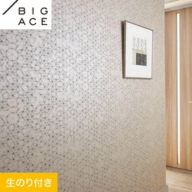 シンコールの住宅向け壁紙シリーズ「BIGACE」のDIYにおすすめののり付き壁紙