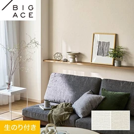 シンコールの住宅向け壁紙シリーズ「BIGACE」のDIYにおすすめののり付き壁紙