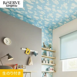 天井にもおすすめの青い空のデザインです