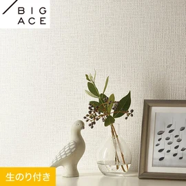 シンコールの住宅向け壁紙シリーズ「BIGACE」のDIYにおすすめののり付き壁紙