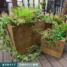 超耐久性を持つウリンのプランター