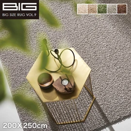 【抗アレルゲン】スミノエ BIG スミトロンニューツイスティ 200X250cm