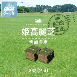 宮崎県産の姫高麗芝です。高麗芝よりも繊細な葉で柔らかい手触りが特長です