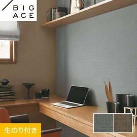 シンコールの住宅向け壁紙シリーズ「BIGACE」のDIYにおすすめののり付き壁紙