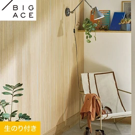 シンコールの住宅向け壁紙シリーズ「BIGACE」のDIYにおすすめののり付き壁紙