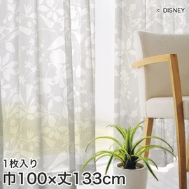 カーテン