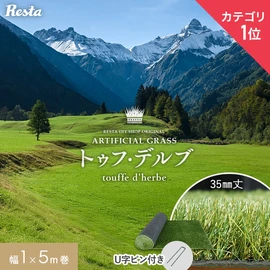 人工芝 ロール 1m×5m 芝丈35mm リアル人工芝 トゥフ・デルブ U字ピン12本付き