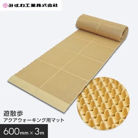 水中に沈めて使用するアクアウォーキング用マットです