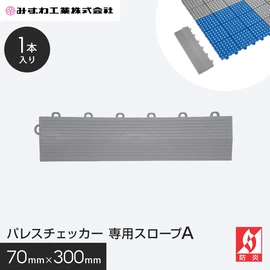 パレスチェッカー専用のスロープです