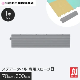 ステアータイル専用のスロープです