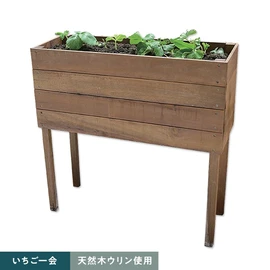 超耐久性を持つウリンのプランター