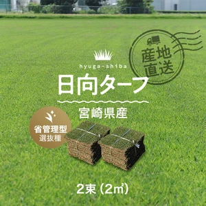芝生 天然芝 野芝 日向ターフ 省管理型 宮崎県産 2束(2平米)入 ソッド