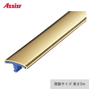 カーペット見切り 真鍮 インサート 20-583BS 既製サイズ 2m