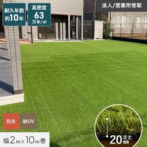 人工芝 ロール 2m×10m 芝丈20mm リアル人工芝 高密度 【C型パイル】