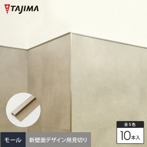 タジマ 新壁面デザイン用見切り材 エッジバー モール 幅17mm×長さ1800mm 10本入