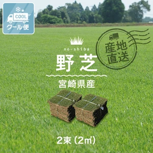 【クール便】芝生 天然芝 野芝 宮崎県産 2束(2平米)入 ソッド