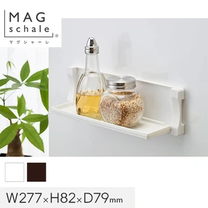 マグネットでつける壁面収納 マグシャーレ 小物置き W277×H82×D79