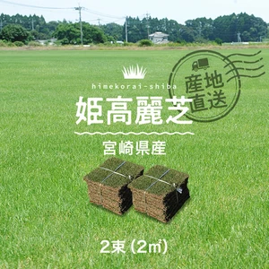 芝生 天然芝 姫高麗芝 宮崎県産 2束(2平米)入 ソッド