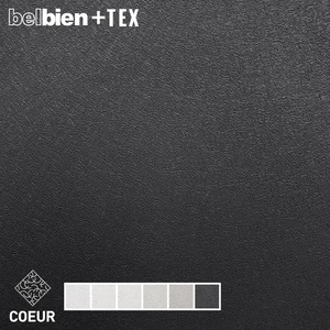 カッティング用シート ベルビアン+TEX COEUR(ケール)