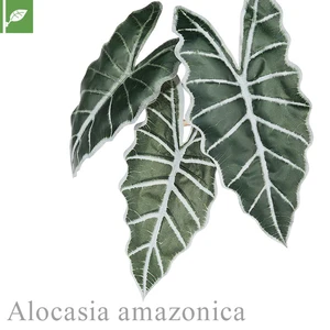 マグネット式壁面装飾 ぴたっとグリーン 人工植栽 アマゾニカ