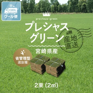 【クール便】芝生 天然芝 高麗芝 プレシャスグリーン 省管理型 2束（2平米）入