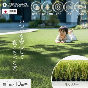 人工芝 ロール 1m×10m巻 芝丈30mm ペンタゴンスターグラス