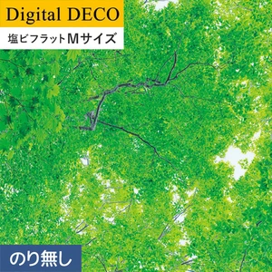 【のりなし壁紙】リリカラ デジタル・デコ 森 PEACE OF FOREST 緑色の天蓋 塩ビフラット Mサイズ