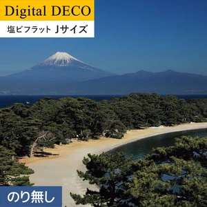 【のりなし壁紙】リリカラ デジタル・デコ 真白き秀峰富士 塩ビフラット Jサイズ