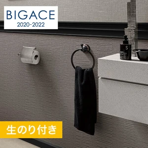 【のり付き壁紙】シンコール BIGACE クール調 BA5275