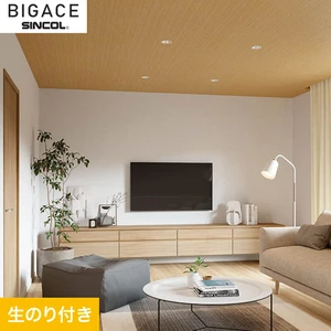 【のり付き壁紙】シンコール BIGACE シンプル BA6119