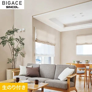 【のり付き壁紙】シンコール BIGACE シンプル BA6184